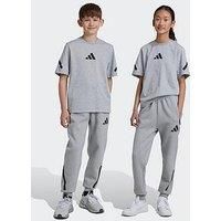 Adidas Sportswear Junior Unisex Z.N.E Pant - Grey