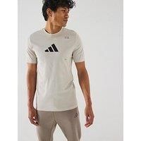 adidas Men/'s AEROREADY All-Gym Category Graphic Tee, Wonder Alumina, XL