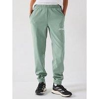 adidas Women/'s Terrex Multi Knit Pants, Silver Green, L