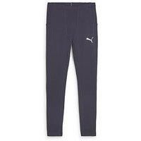 Puma Mens Running Brushed Tights - Grey