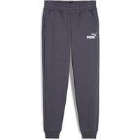 Puma Boys Essentials Fleece Logo Pants - Grey