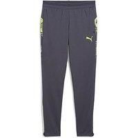 Puma Junior Individual Cup Training Pants - Grey