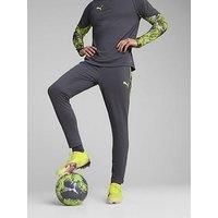 PUMA IndividualCUP Football Pants - Mens