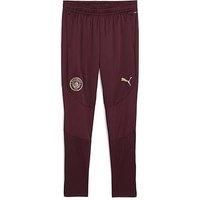 PUMA Manchester City Training Pants - Mens