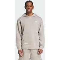 adidas Men/'s MERCEDES - AMG PETRONAS FORMULA ONE TEAM PREMIUM SWEAT HOOD MEN, putty beige/wonder alumina, M