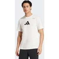 adidas Men/'s Climacool Category Training Graphic T-Shirt L Chalk White