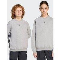 Adidas Originals Junior Boys Adicolour Crew Jumper - Grey
