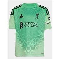 Adidas Liverpool 25/26 Away Goal Keeper Mini Kit -Green