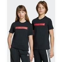 Adidas Originals Junior Boys Graphic T-Shirt - Black
