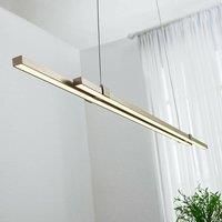 Tymon LED linear pendant light, narrow, extendable