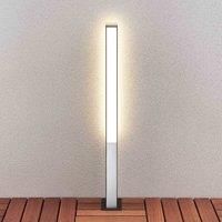 Lucande Aegisa LED path light, 80 cm