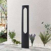Lucande Fenti LED path light, 90 cm