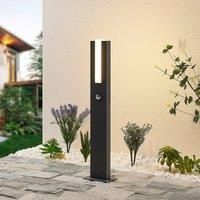 Lucande Virgalia LED path light, 65 cm with sensor