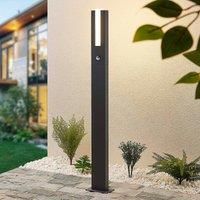 Lucande Virgalia LED path light, 100 cm, sensor