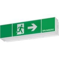 BRUMBERG Rescue One LED emergency light, wall