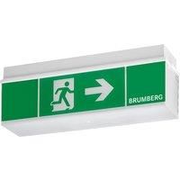 BRUMBERG Rescue One LED emergency light, wall