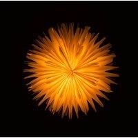 Sterntaler 2021 3D paper star 45 cm white