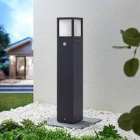 Lucande Dewari path light with E27 socket, sensor