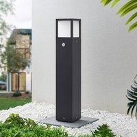 Lucande Dewari LED path light with sensor