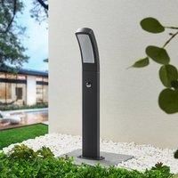 Lindby Moshe LED path light with sensor