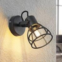 Lindby Flintos cage spotlight, one-bulb, black