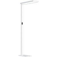 Arcchio LED Floor Lamp /'Finix/' (incl. Touch dimmer) dimmable (Modern) in White Made of Aluminium for e.g. Office & Workroom (1 Light Source,) from Standard Lamp