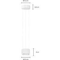 Arcchio Atreus LED hanging light, lens, downlight