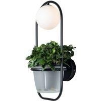 Lindby Orna wall light 1-bulb hanging basket