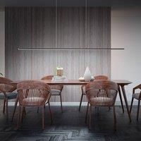 Rothfels Margita LED pendant light, black, 148 cm