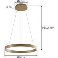 Lucande Smart LED pendant light Yonam, gold, 1-bulb, Tuya