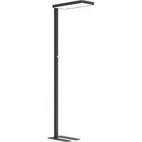 Arcchio LED floor lamp Timon, 54W, black, height 195 cm