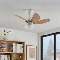 Lindby Ceiling Fans with Lighting Minja (modern) in White made of Metal for e.g. Living Room & Dining (1 light source, E14) from