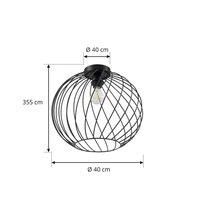 Lindby Danika Ceiling Light (Modern) in Black Metal (1 Bulb, E27) - Ceiling Light Lamp Living Room Light