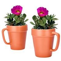 Regal Trunk & Co. Plant Pots Set of - Versatile 2 19.8 x 9.9 cm, Red