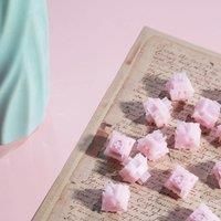 WUHAI Outume Jointly Signed Sakura Pink Switch 30g Linear 5 Pin Manual Lubrication POM POK Material