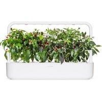 CLICK&GROW Chili Pepper Mix Plant Pods - Pack of 9