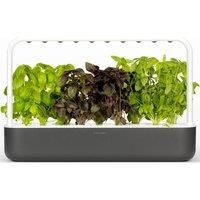 Click & Grow Smart Garden 9 Indoor Gardening Kit (includes 3 mini tomato, 3 basil and 3 green lettuce plant pods), Grey