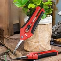 Stainless Steel Branch Pruning Gardening Scissors Fruit Gardening Fruit Tree Pruning Flower Branch