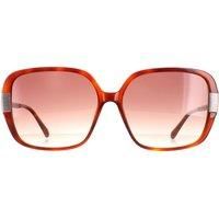 Square Tortoise Brown Brown Gradient TB1616 Indi
