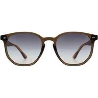 Ted Baker Sunglasses TB1655 Dock Transparent Khaki Striped Brown Grey Gradient