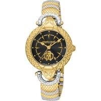 Brown Dial Gold Bezel Stainless Steel Watch