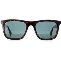 Square Milky Dark Brown Blue TB1680 Filipe