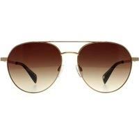 Aviator Antique Gold Brown Gradient TB1682 Konrad