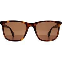 Ted Baker Sunglasses Men's Jacobe TB1724 104 Gloss Dark Tortoiseshell/Brown