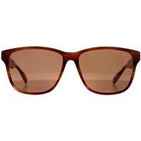 Ted Baker Men's Rectangle Brown Horn Brown TB8232