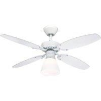 Westinghouse Capitol fan, white and beech blades