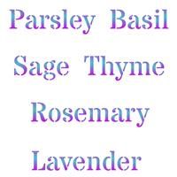 Herb Stencil - (S) - Reusable Words Labels Farmhouse 11.5 x 11.5cm