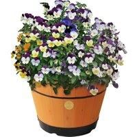 Vegtrug Medium Barrel 46cm - Peach