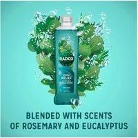 Radox Herbal Bath Stress Relief  500ml