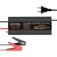 Powland 12V 60A Lifepo4 Charger Car Fast Charge Lithium Battery Charger 100V-220VAC Input 0-15V Adjustable Quick Fast Adapter